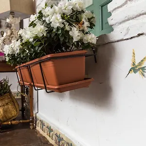 https://patio-mrquez.es-andalucia.com