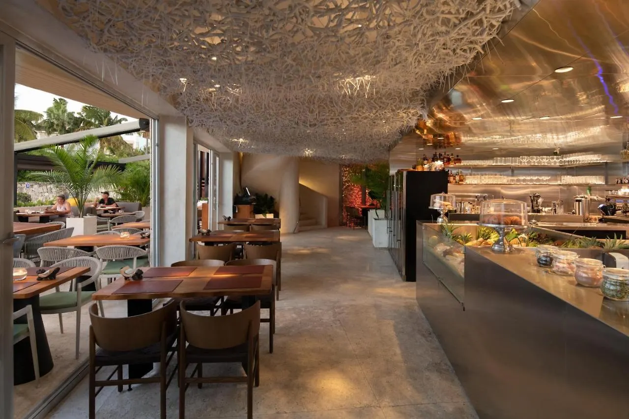 Ducassi Suites Rooftop Pool - Beach Club And Spa Punta Cana 5*,